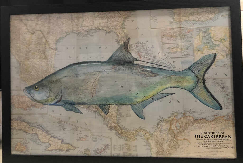 Tarpon On Antique Map - 1947 National Geographic Map - 24" X 36"