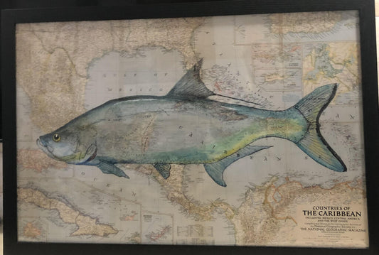 Tarpon On Antique Map - 1947 National Geographic Map - 24" X 36"