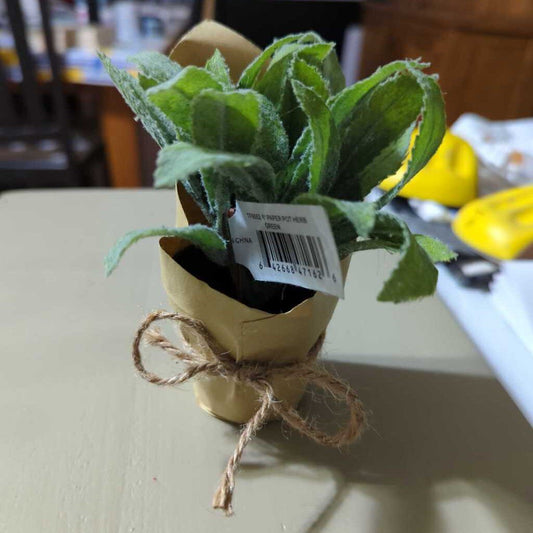 6" Paper Pot Herb